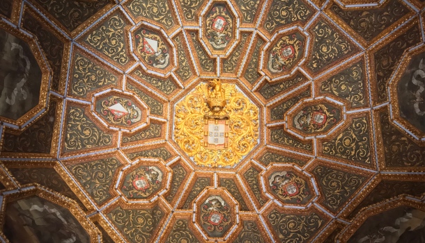 copertura della sala araldica