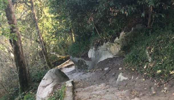 sentiero che collega sintra a castello dei mori